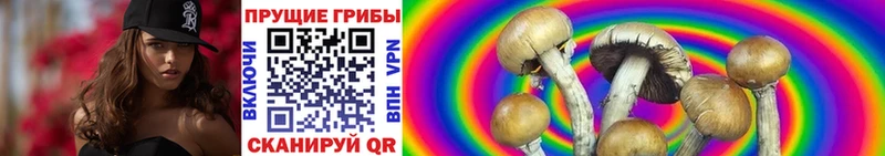 Купить  Курган  Псилоцибиновые грибы мухоморы 